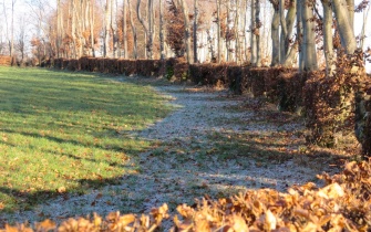 Flurhecken bei Eicherscheid <span class="copy">© Naturpark Nordeifel e.V.</span>